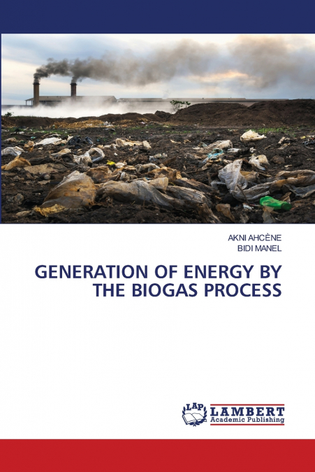 GENERATION OF ENERGY BY THE BIOGAS PROCESS