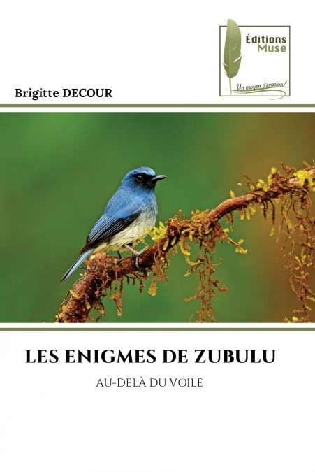 LES ENIGMES DE ZUBULU