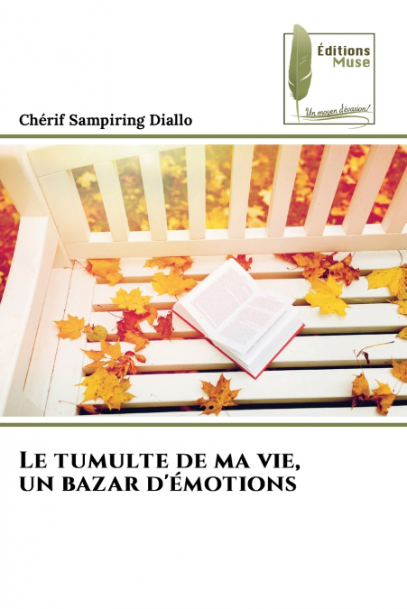 Le tumulte de ma vie, un bazar d’émotions
