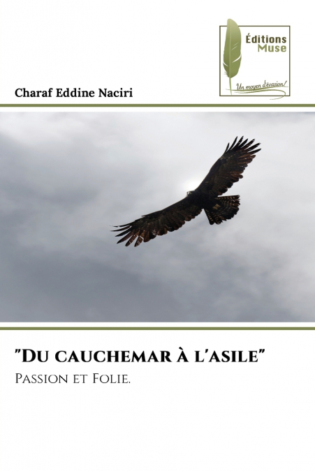 'Du cauchemar à l’asile'