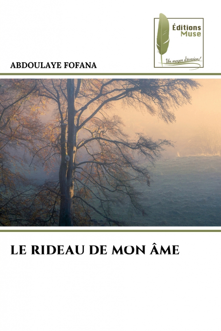 LE RIDEAU DE MON ÂME