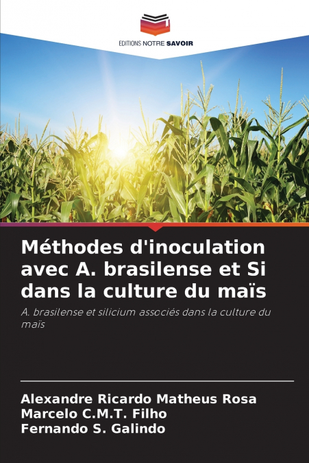 Méthodes d’inoculation avec A. brasilense et Si dans la culture du maïs