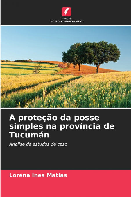 A proteção da posse simples na província de Tucumán