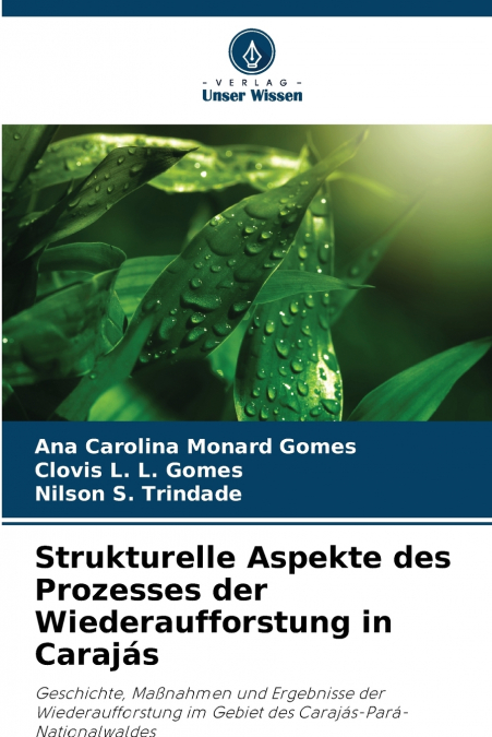 Strukturelle Aspekte des Prozesses der Wiederaufforstung in Carajás