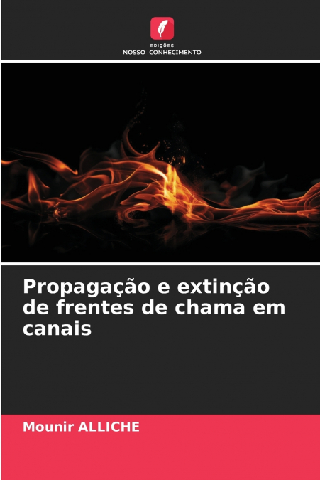 Propagação e extinção de frentes de chama em canais