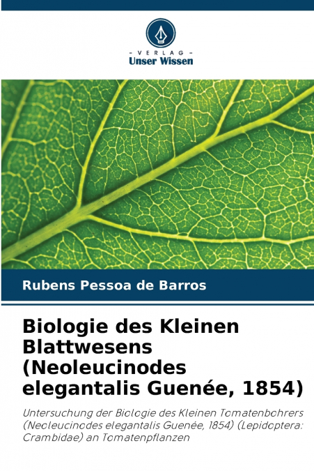 Biologie des Kleinen Blattwesens (Neoleucinodes elegantalis Guenée, 1854)