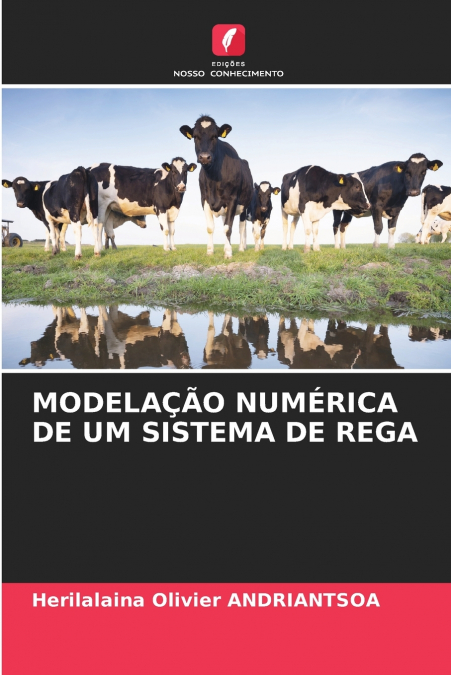 MODELAÇÃO NUMÉRICA DE UM SISTEMA DE REGA