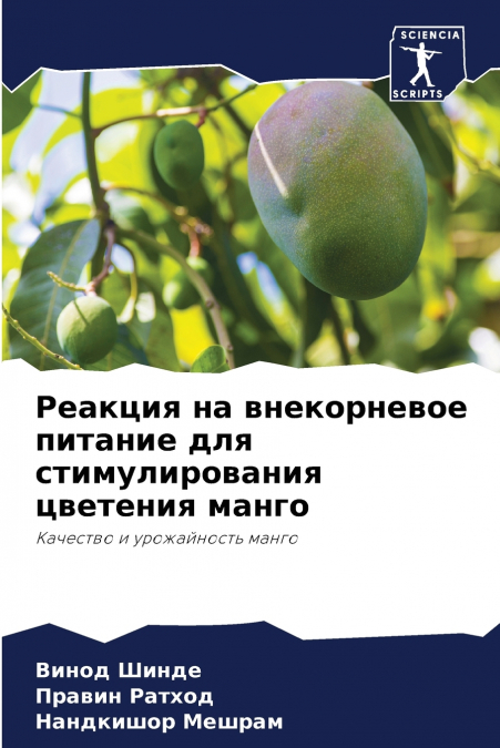 Реакция на внекорневое питание для стимулирования цветения манго