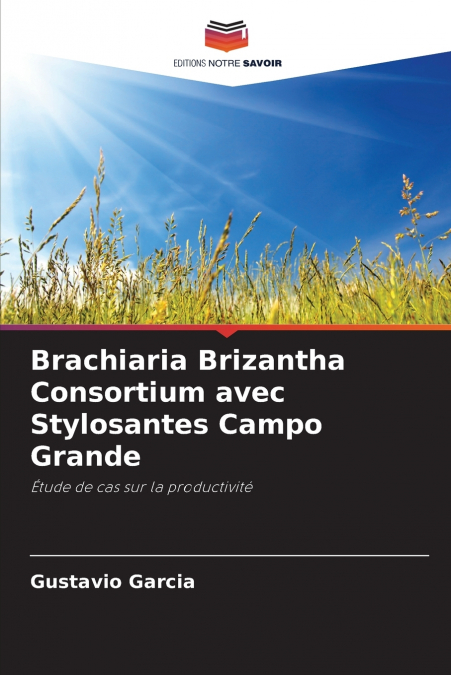 Brachiaria Brizantha Consortium avec Stylosantes Campo Grande