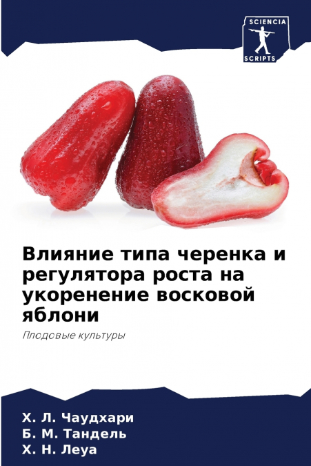Влияние типа черенка и регулятора роста на укоренение восковой яблони