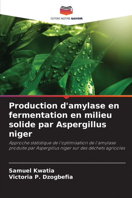 Production d’amylase en fermentation en milieu solide par Aspergillus niger
