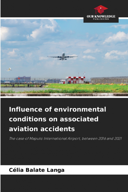 Influence of environmental conditions on aviation accidents involving birds
