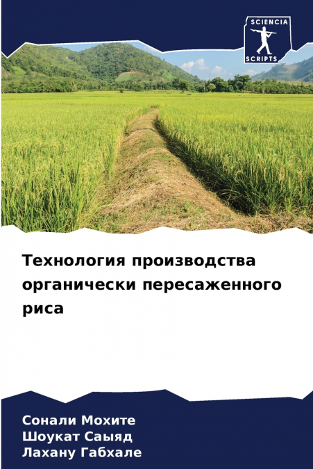 Технология производства органически пересаженного риса