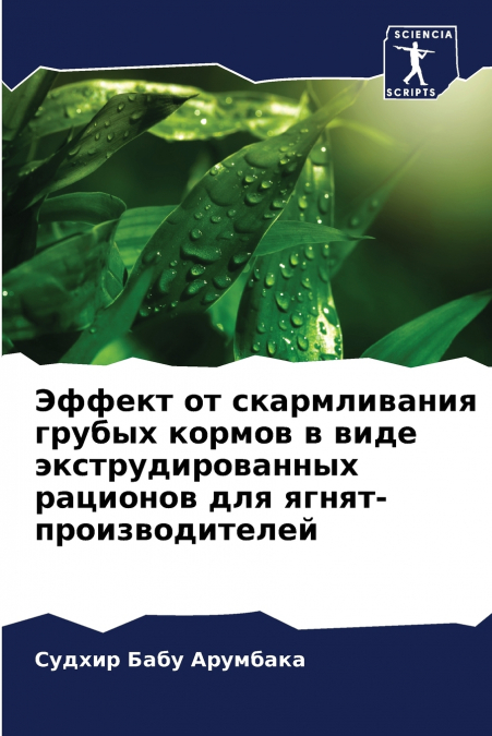 Эффект от скармливания грубых кормов в виде экструдированных рационов для ягнят-производителей