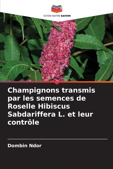 Champignons transmis par les semences de Roselle Hibiscus Sabdariffera L. et leur contrôle