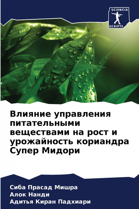 Влияние управления питательными веществами на рост и урожайность кориандра Супер Мидори
