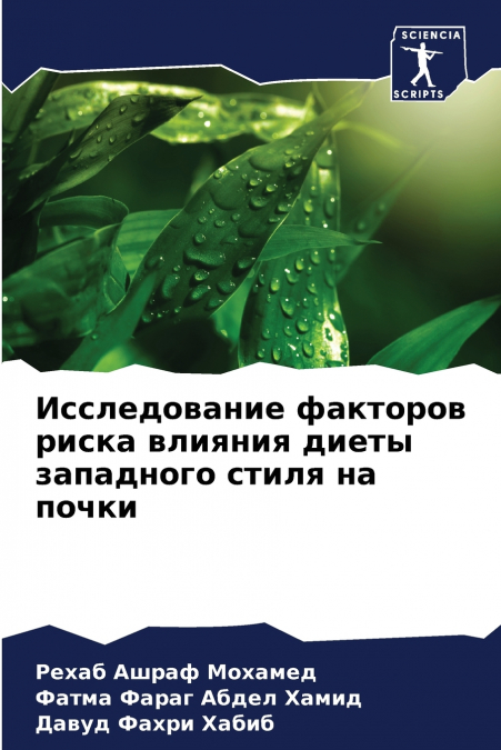 Исследование факторов риска влияния диеты западного стиля на почки