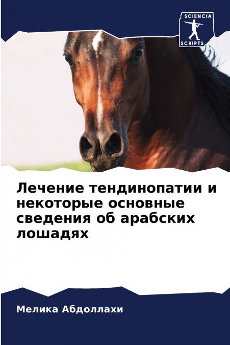 Лечение тендинопатии и некоторые основные сведения об арабских лошадях