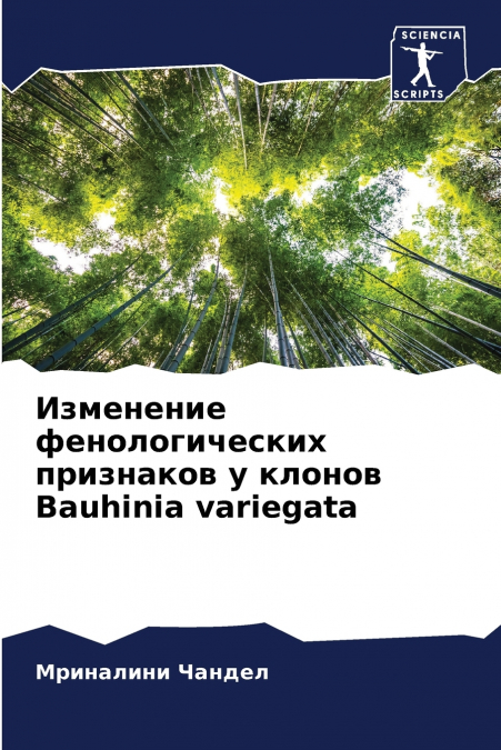 Изменение фенологических признаков у клонов Bauhinia variegata