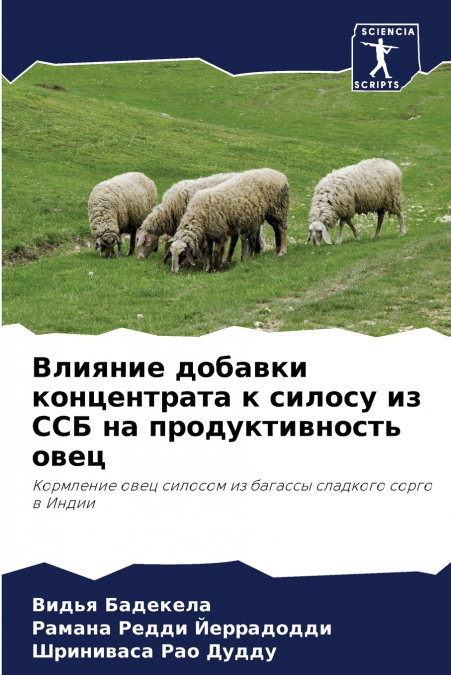 Влияние добавки концентрата к силосу из ССБ на продуктивность овец