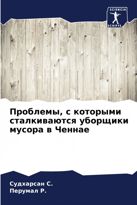 Проблемы, с которыми сталкиваются уборщики мусора в Ченнае