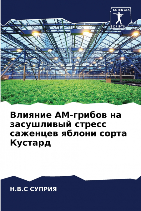 Влияние АМ-грибов на засушливый стресс саженцев яблони сорта Кустард
