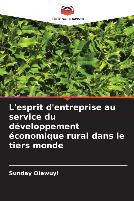 L’esprit d’entreprise au service du développement économique rural dans le tiers monde