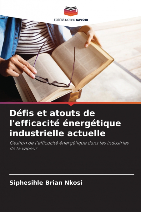 Défis et atouts de l’efficacité énergétique industrielle actuelle