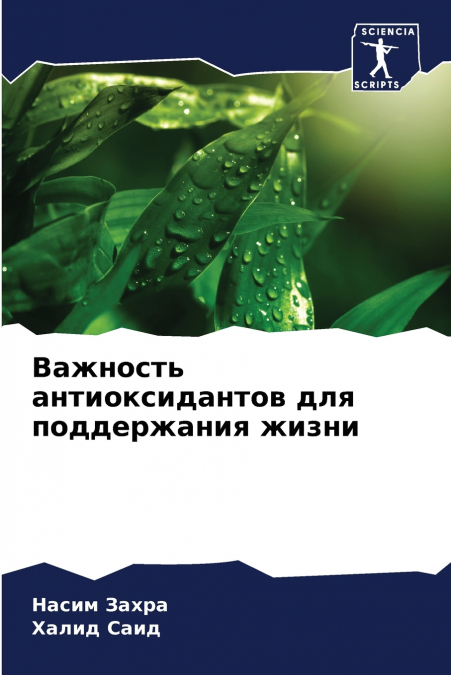 Важность антиоксидантов для поддержания жизни