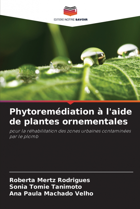 Phytoremédiation à l’aide de plantes ornementales