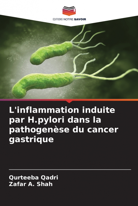 L’inflammation induite par H.pylori dans la pathogenèse du cancer gastrique