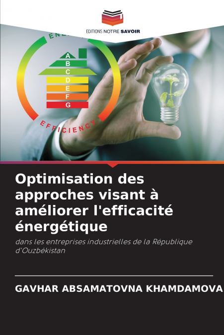 Optimisation des approches visant à améliorer l’efficacité énergétique