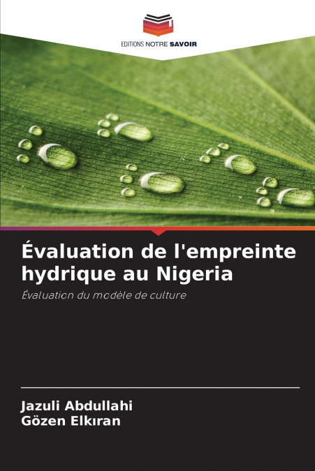 Évaluation de l’empreinte hydrique au Nigeria