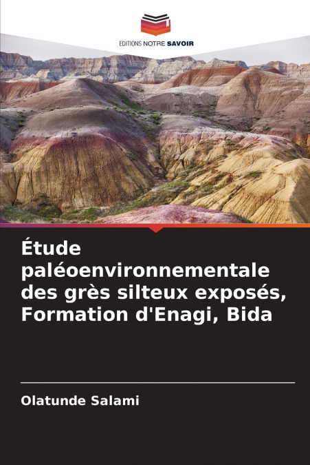 Étude paléoenvironnementale des grès silteux exposés, Formation d’Enagi, Bida