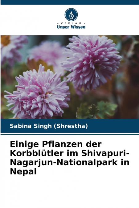Einige Pflanzen der Korbblütler im Shivapuri-Nagarjun-Nationalpark in Nepal