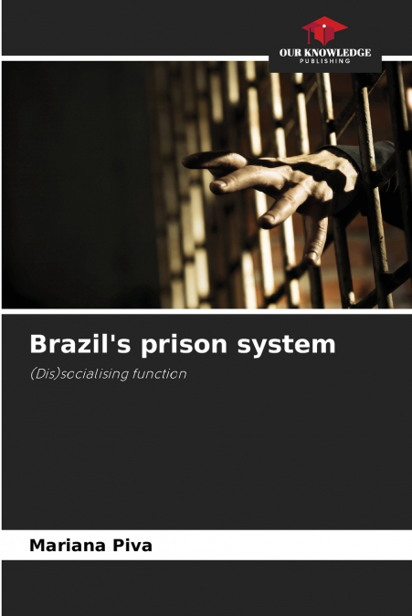 Brazil’s prison system