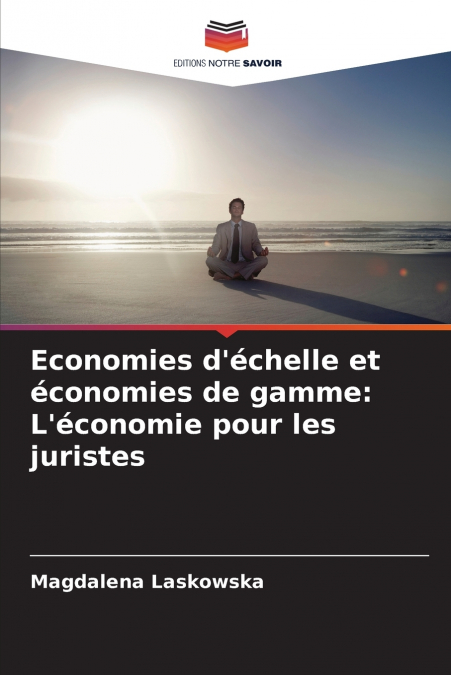 Economies d’échelle et économies de gamme