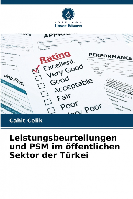 Leistungsbeurteilungen und PSM im öffentlichen Sektor der Türkei