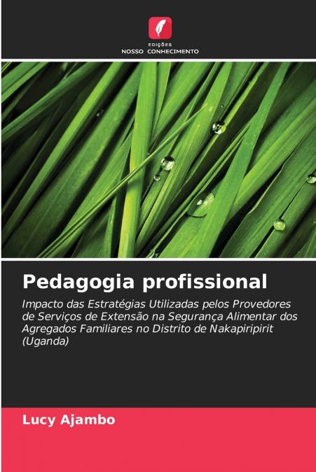Pedagogia profissional