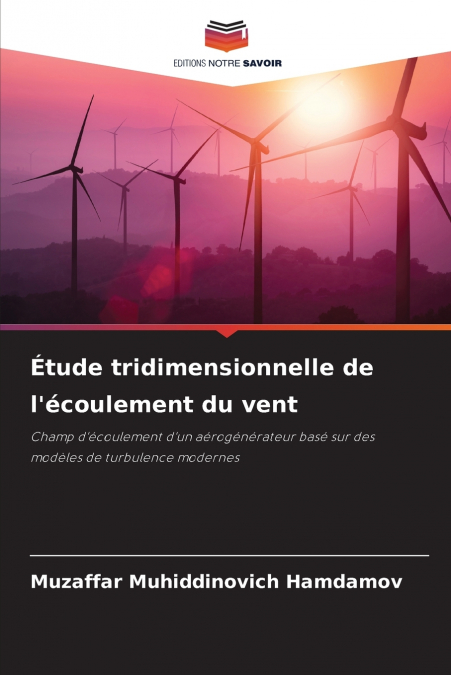 Étude tridimensionnelle de l’écoulement du vent