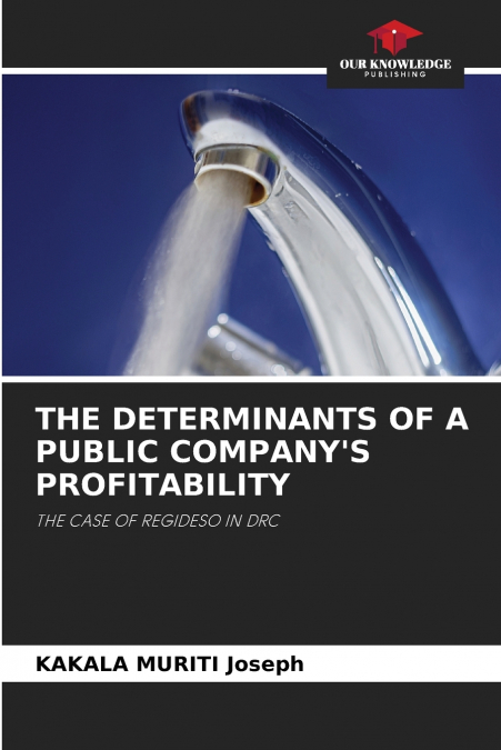 THE DETERMINANTS OF A PUBLIC COMPANY’S PROFITABILITY