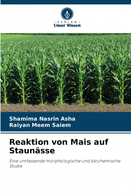 Reaktion von Mais auf Staunässe