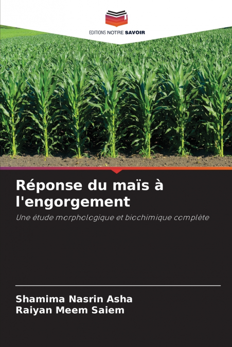 Réponse du maïs à l’engorgement