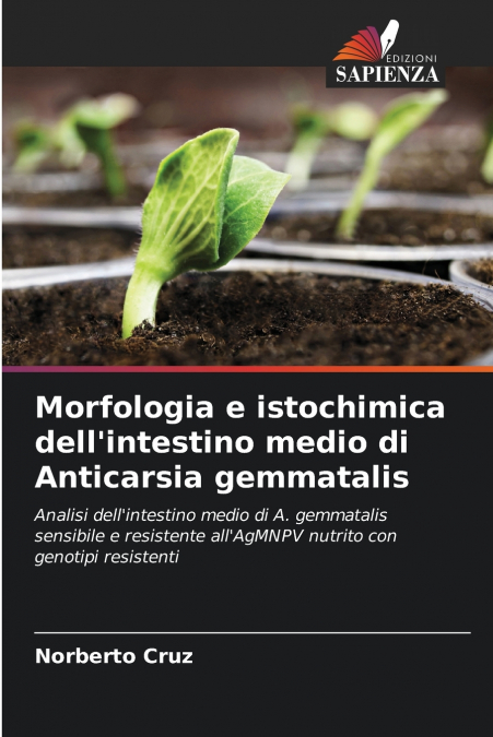 Morfologia e istochimica dell’intestino medio di Anticarsia gemmatalis