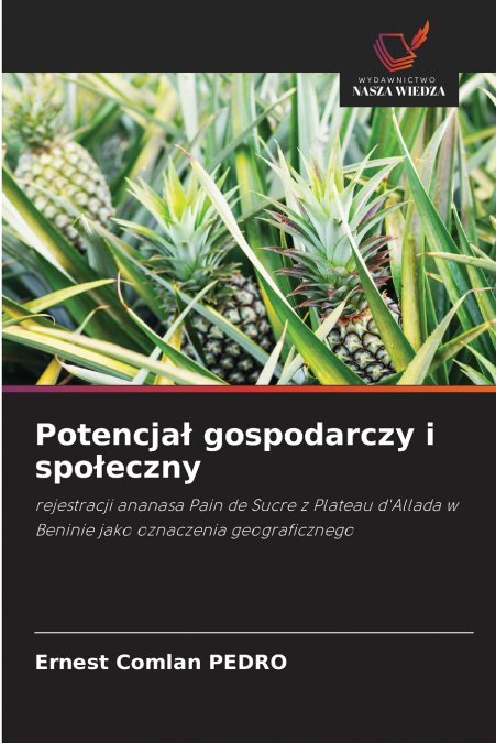 Potencjał gospodarczy i społeczny