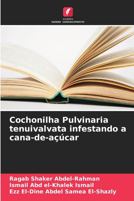 Cochonilha Pulvinaria tenuivalvata infestando a cana-de-açúcar