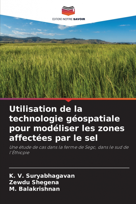 Utilisation de la technologie géospatiale pour modéliser les zones affectées par le sel