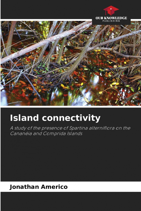 Island connectivity