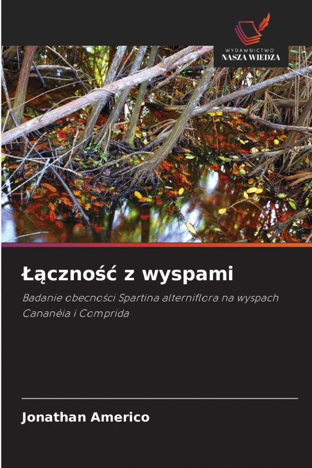 Łączność z wyspami