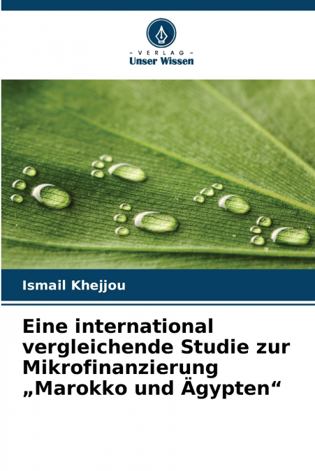 Eine international vergleichende Studie zur Mikrofinanzierung „Marokko und Ägypten'
